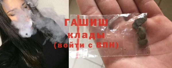 хмурый Бородино