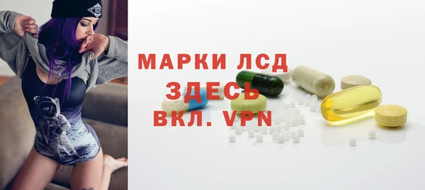 хмурый Бородино