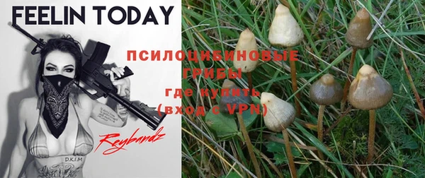 хмурый Бородино