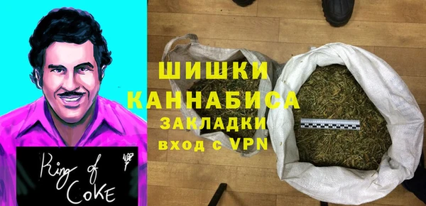 стаф Бронницы