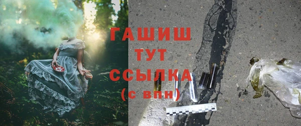 хмурый Бородино