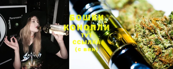 хмурый Бородино