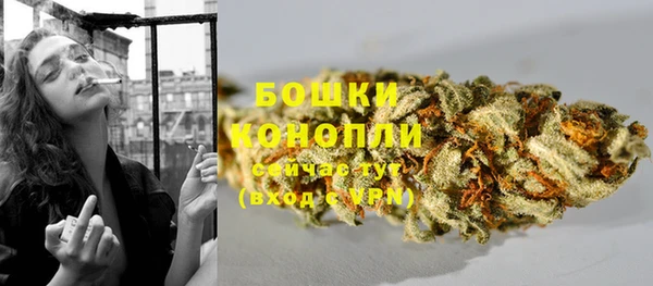 стаф Бронницы